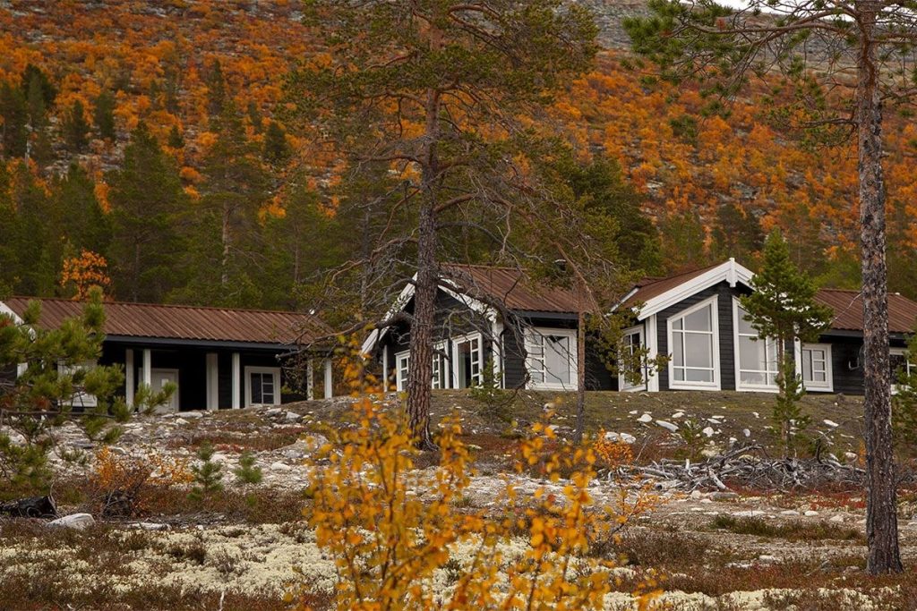 Tømmerhytte Stor thumbnail 3