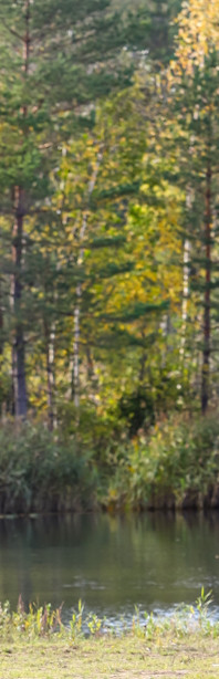Pirtsmāja ar Terasi 6.00m thumbnail 2