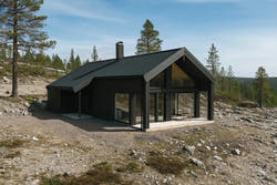 Nordis thumbnail 3