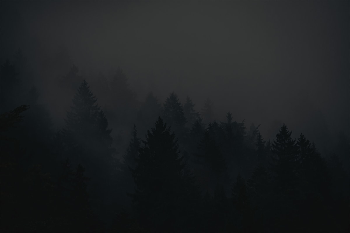 DVELE