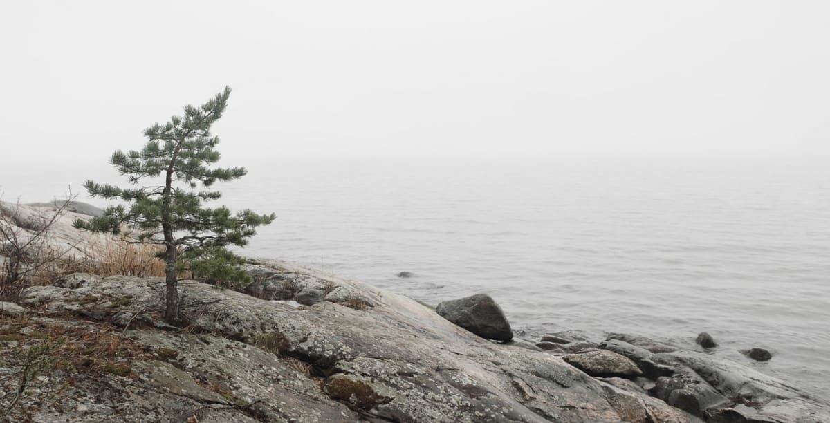 Nordic sauna