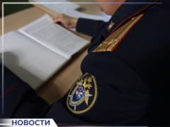 В Шебалинском районе бывший директор лесничества осужден за мошенничество