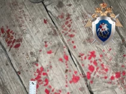 В Усть-Канском районе арестован местный житель, совершивший убийство родного брата