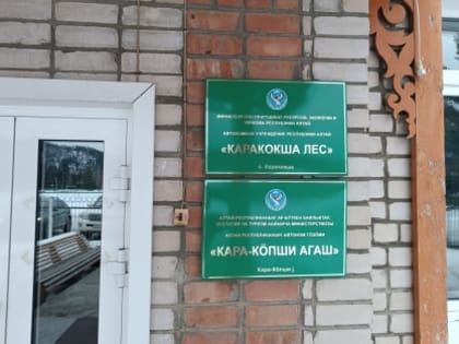 В Республике Алтай завершено расследование уголовного дела по обвинению бывшего руководителя учреждения лесного хозяйства в мошеннических действиях с использованием служебного поло