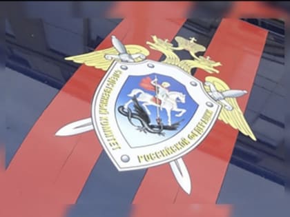 В Усть-Коксинском районе местный житель осужден за причинение телесных повреждений, повлекших смерть потерпевшего