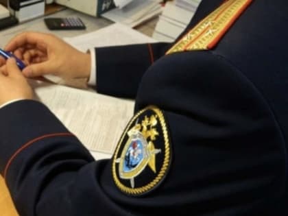 В Республике Алтай завершено расследование уголовного дела по обвинению жительницы Турочакского района в причинении брату тяжкого вреда здоровью, в результате чего  последний сконч
