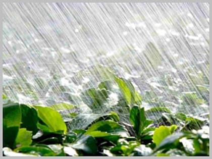 Внимание, штормовое предупреждение