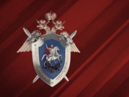 В Усть-Коксинском районе женщина осуждена за причинение по неосторожности смерти своему новорожденному ребенку