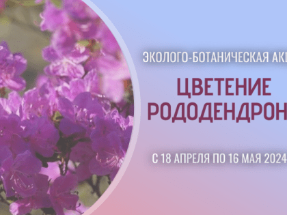 Эколого-ботаническая акция «Цветение рододендрона»