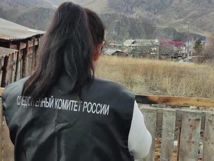 Следственными органами возбуждено уголовное дело об убийстве и покушении на убийство двоих мужчин в Шебалинском районе