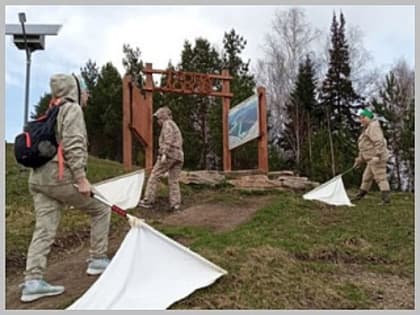 Количество пострадавших от клещей в регионе увеличивается