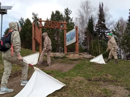Количество пострадавших от клещей в регионе увеличивается