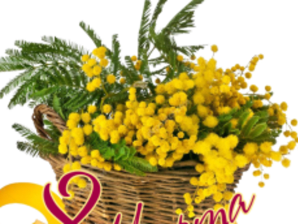Поздравление с Международным женским днём!