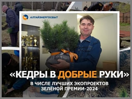 Проект «Кедры в добрые руки» попал в шорт-лист Зелёной премии-2024