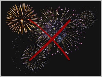 В Республике Алтай принято  решение отказаться от запуска фейерверков в новогодние праздники