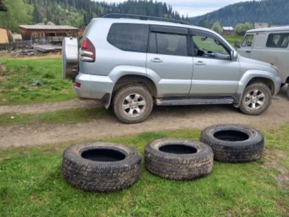 Приговор экс-директору лесного хозяйства за хищение бюджетных средств