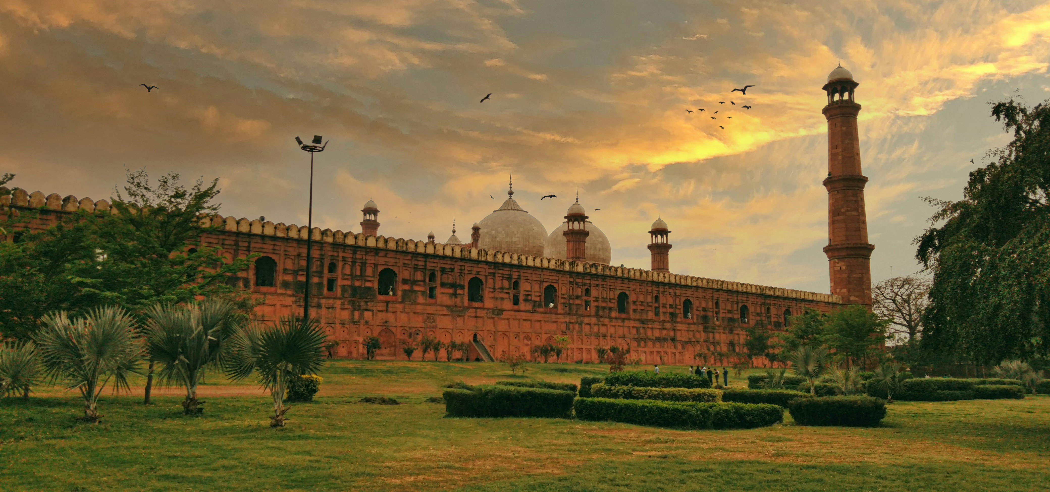 IAPEX Lahore 2026