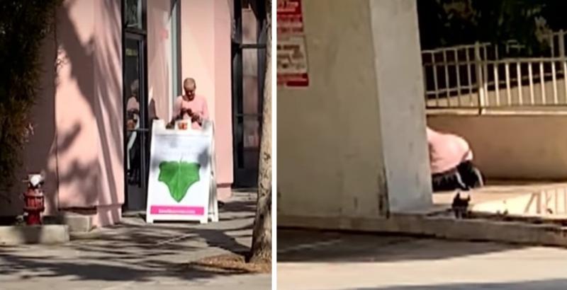 Дочь Успенской ползает по улицам на четвереньках