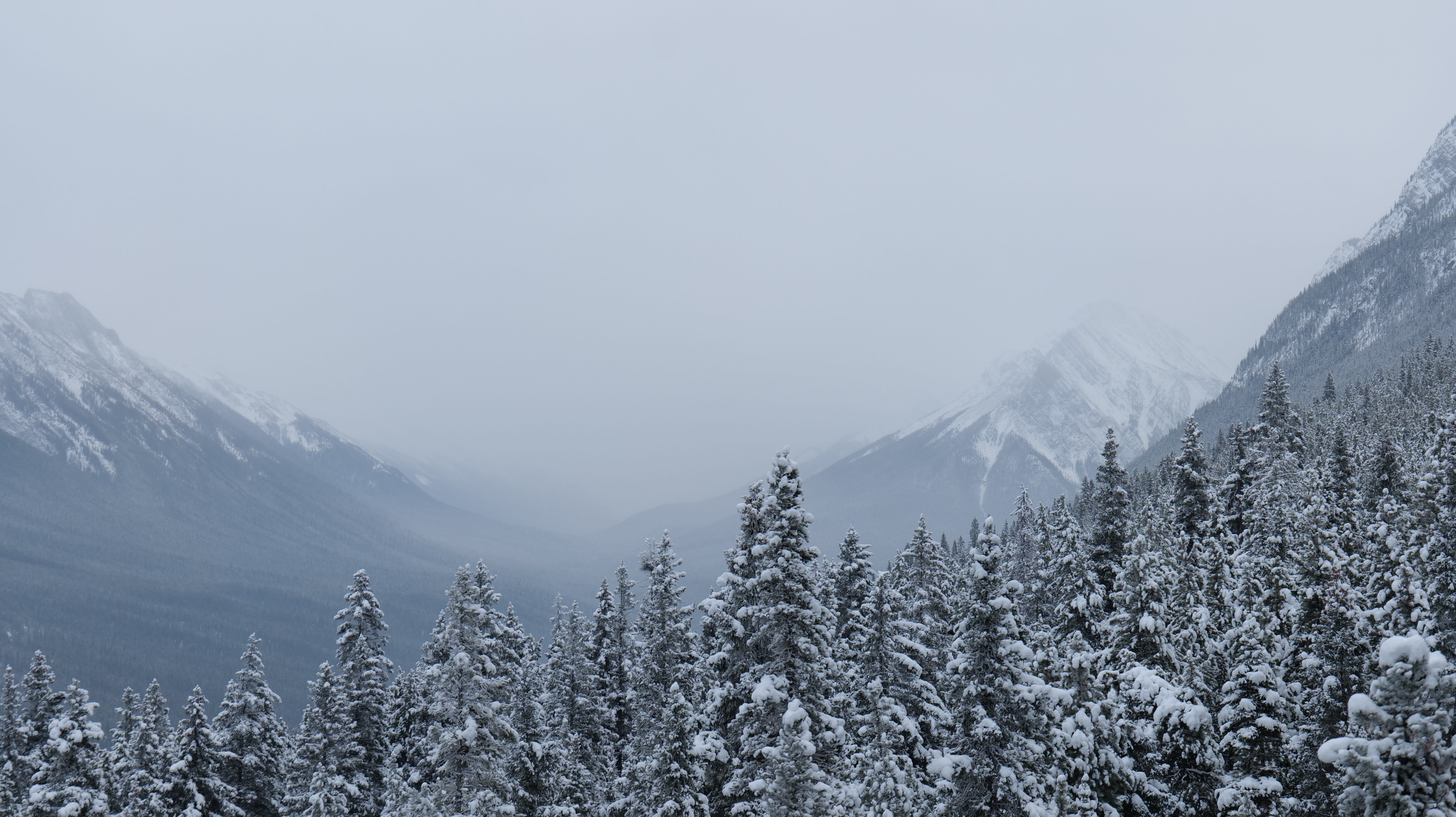 Sweeping valleys and snow enamoured peaks of Alberta.