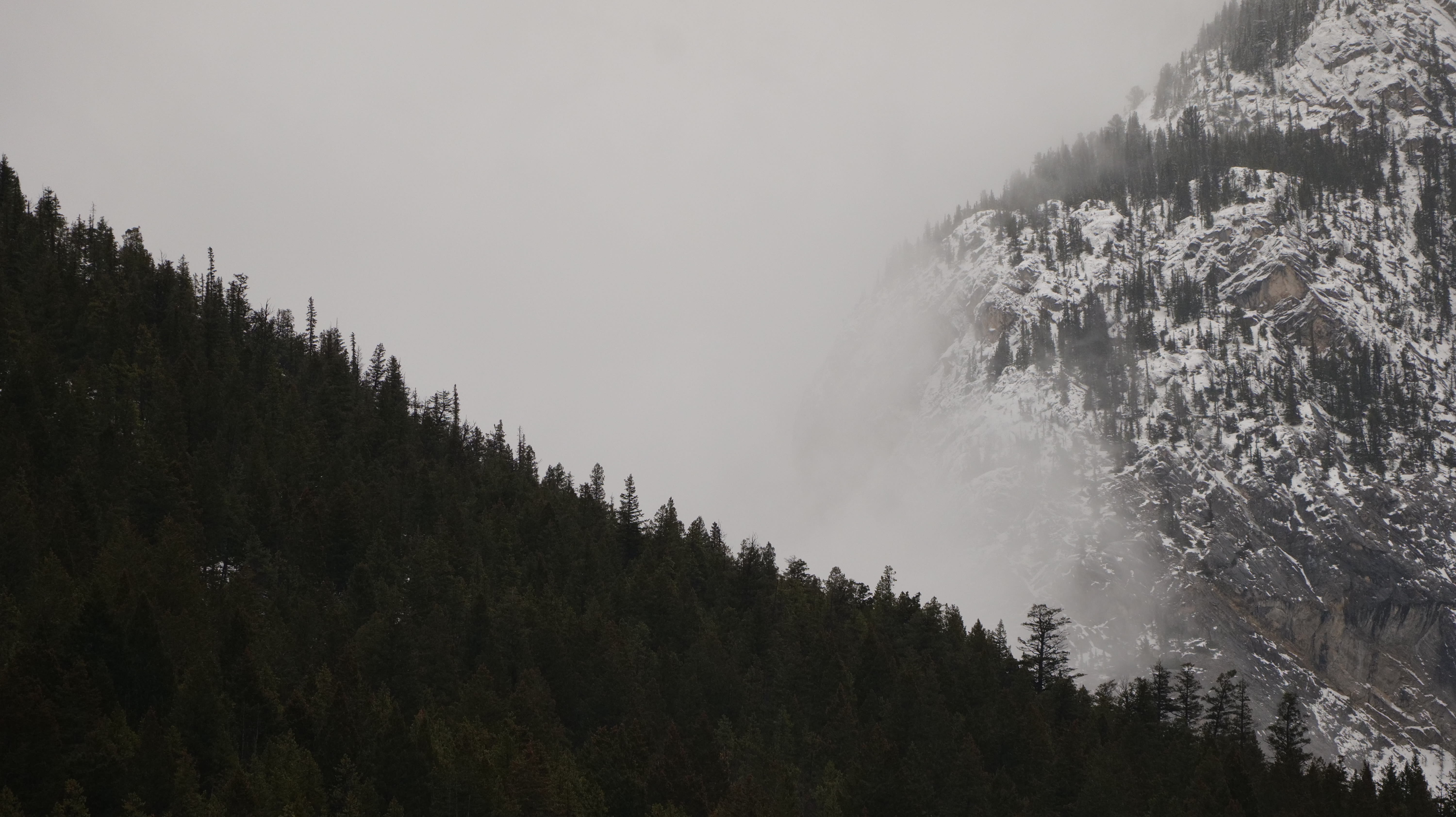 Clouds making their way through the Rockies, whispering whimsical stories to the flora and fauna atop. 