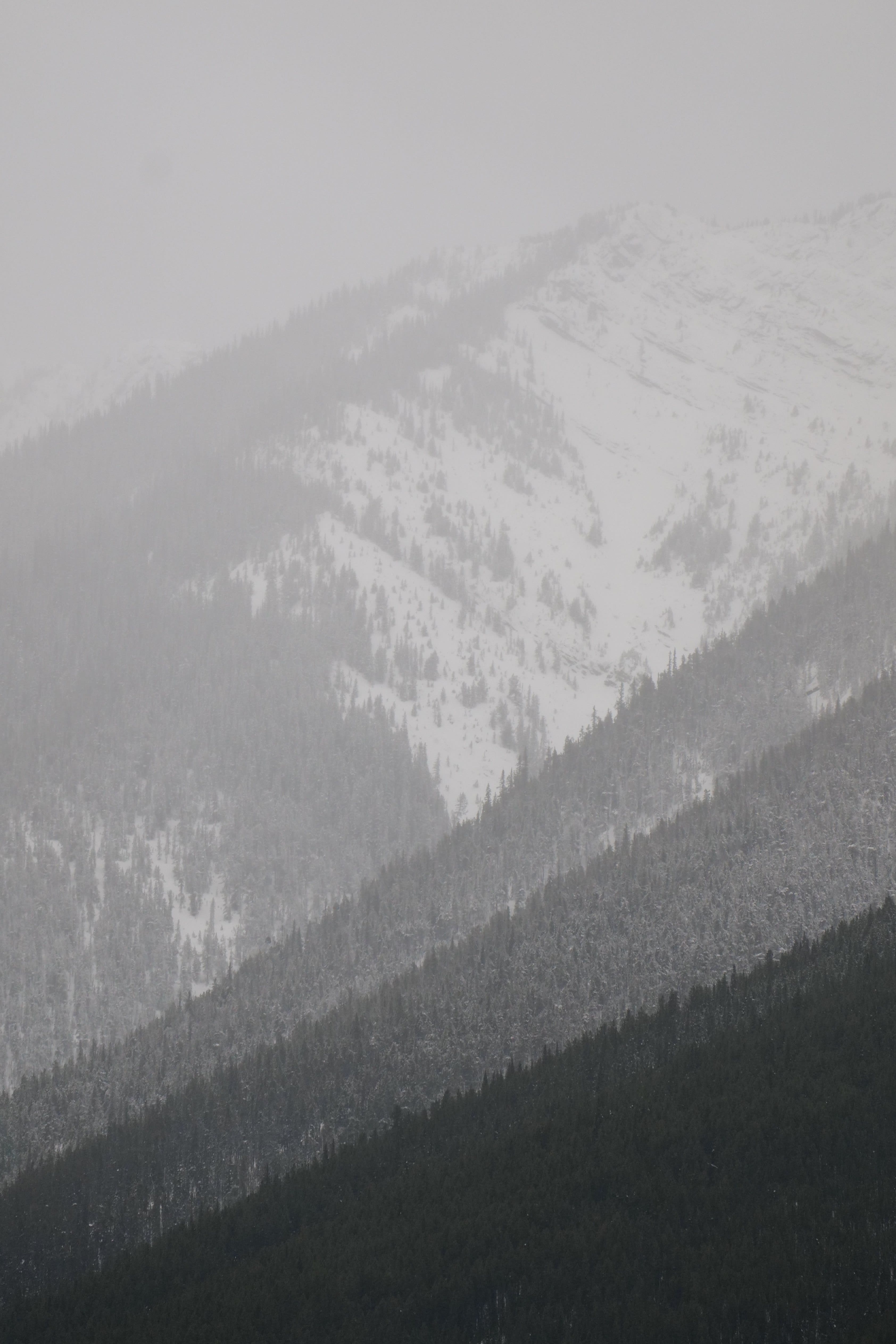 Gradient display of the Rockies in Banff. Dark timber to white snow, vanishing into sky.