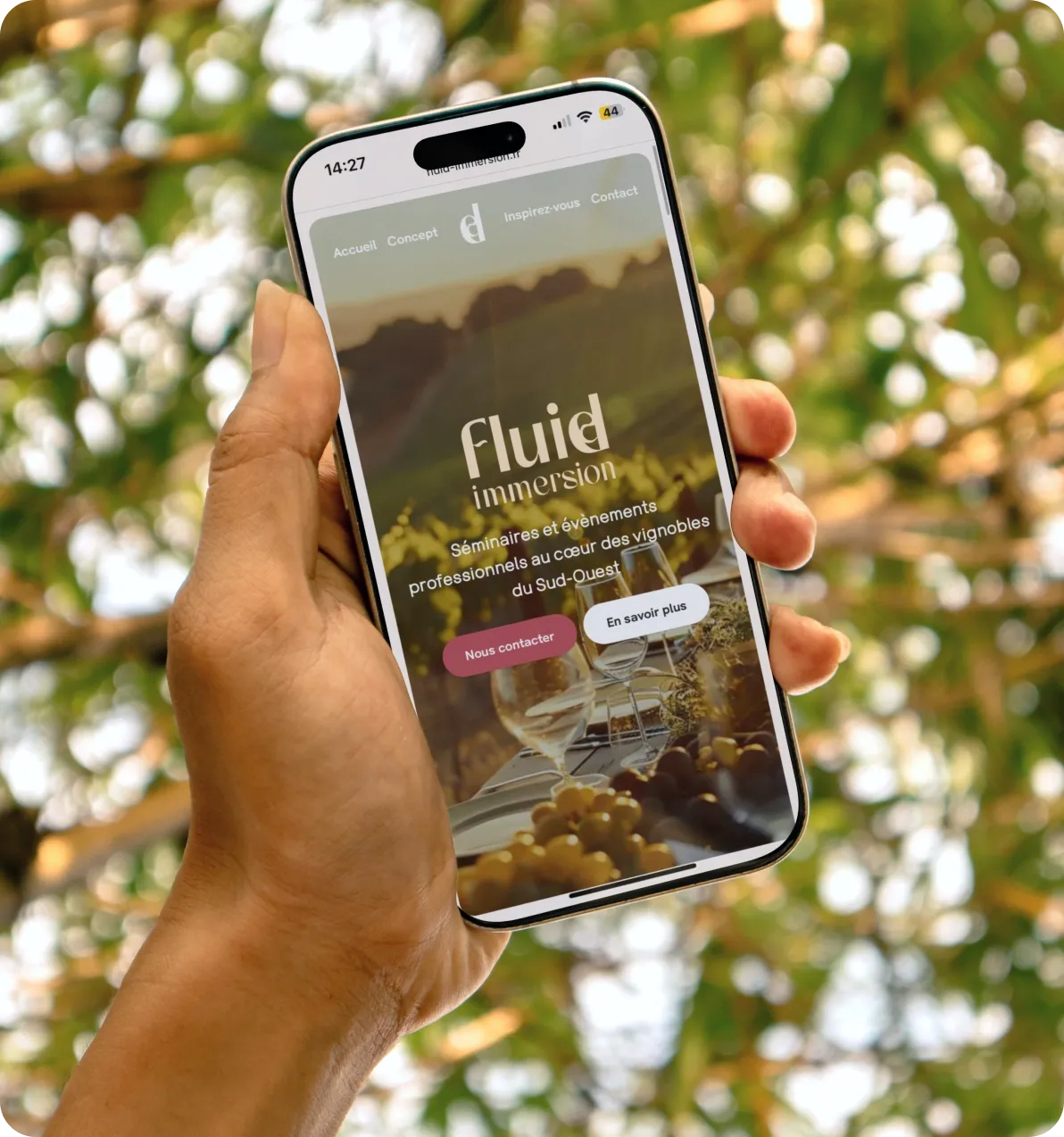 Création du site Fluid Immersion