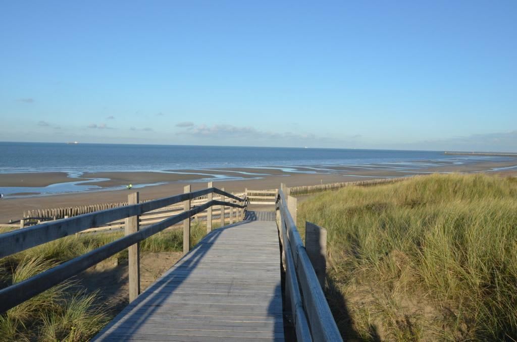 7 Oye-plage · Appartement au coeur de la nature — photo 9
