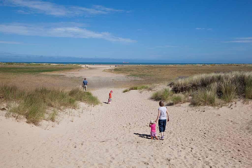 7 Oye-plage · Appartement au coeur de la nature — photo 10