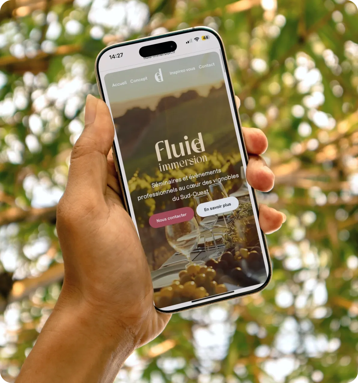 Création du site Fluid Immersion