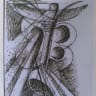Thumbnail 45