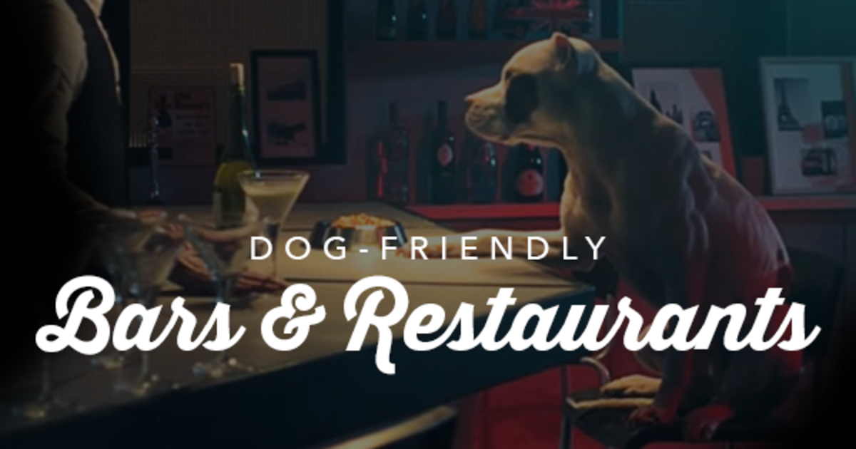 Dog-Friendly Places Around Louisville - Louisville Mom Collective