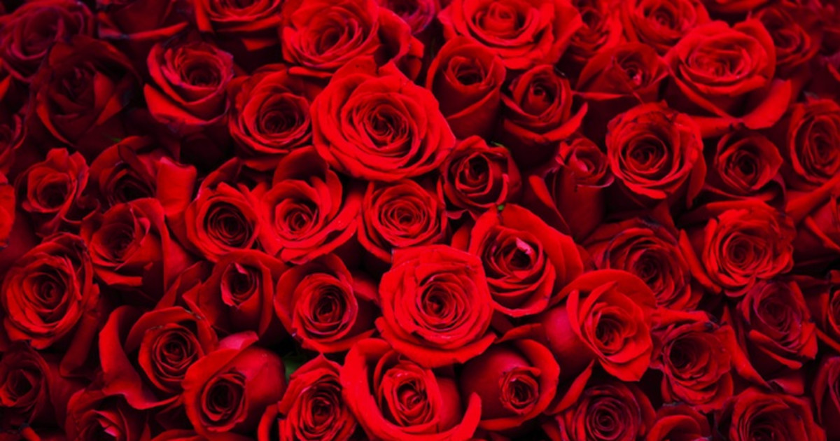 Four Roses Flower Hour with Nanz and Kraft Florist