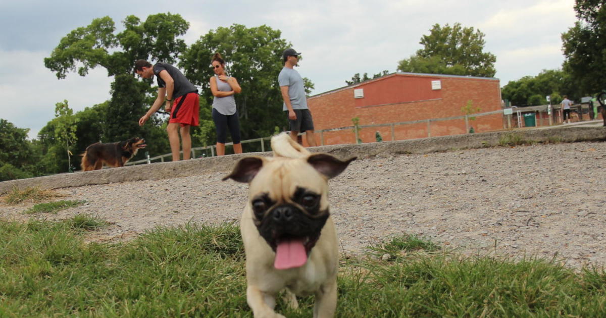 Dog Parks in Nashville