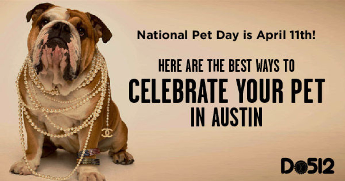 Pet Week 5 Ways to Celebrate Your Pet