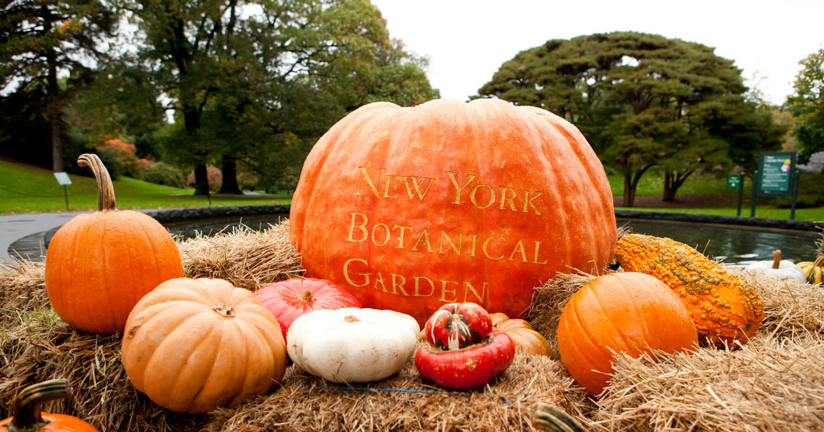 10 Ways to Do Fall in NYC