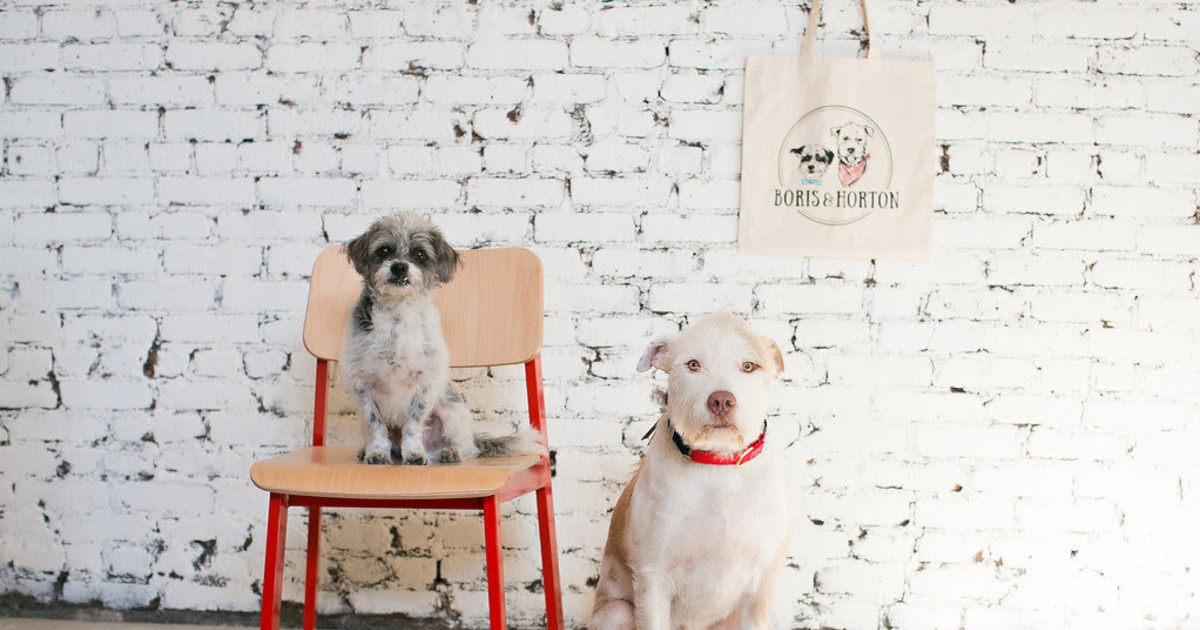 New York's First Dog Cafe To Open This Month