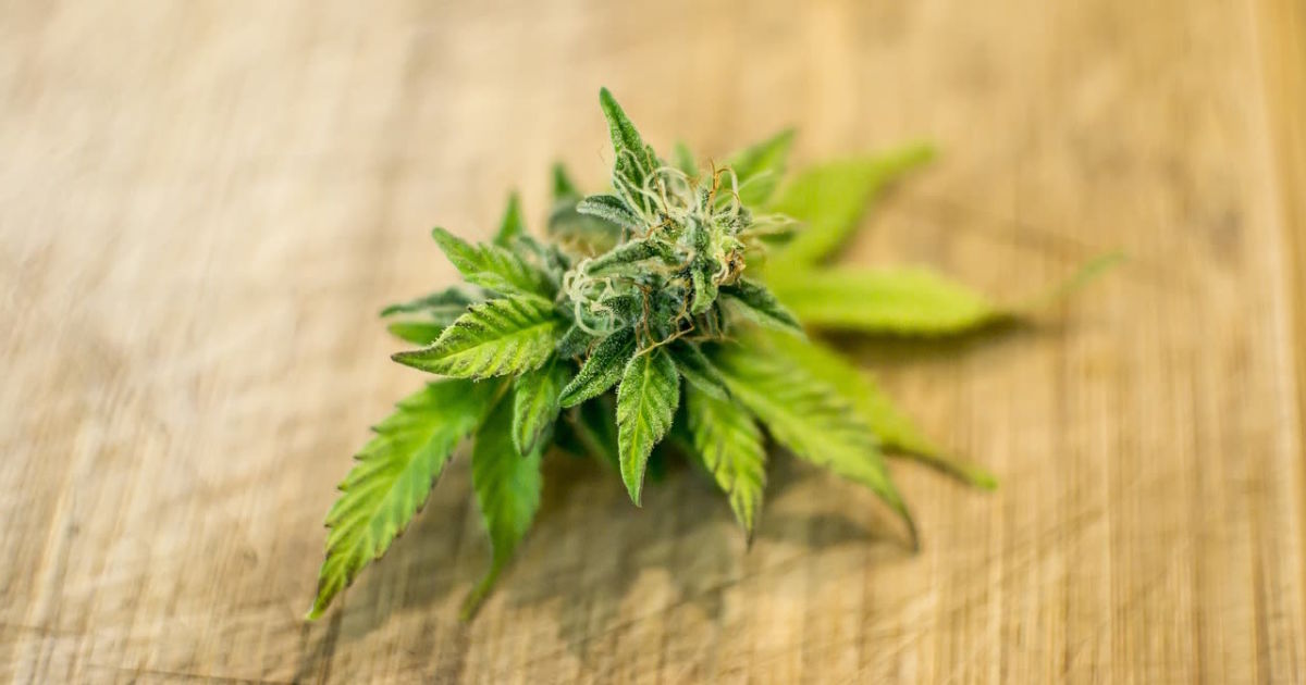 LA's Best Cannabis Delivery Services