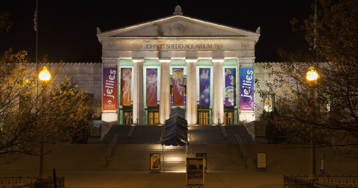 Chicago Museums Open Late