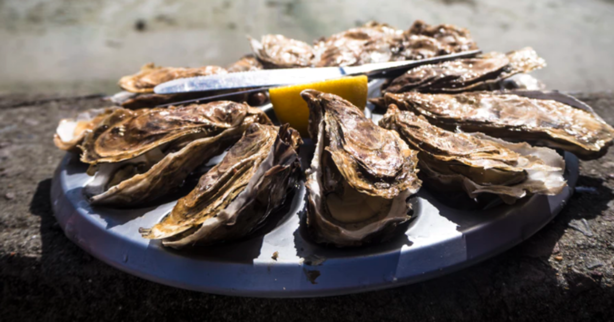 Where To Eat Oysters In Nashville