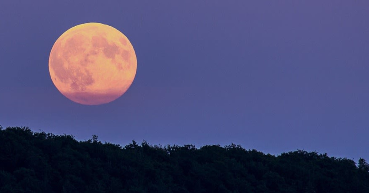 Where to Watch the Supermoon and Full Moon in NYC