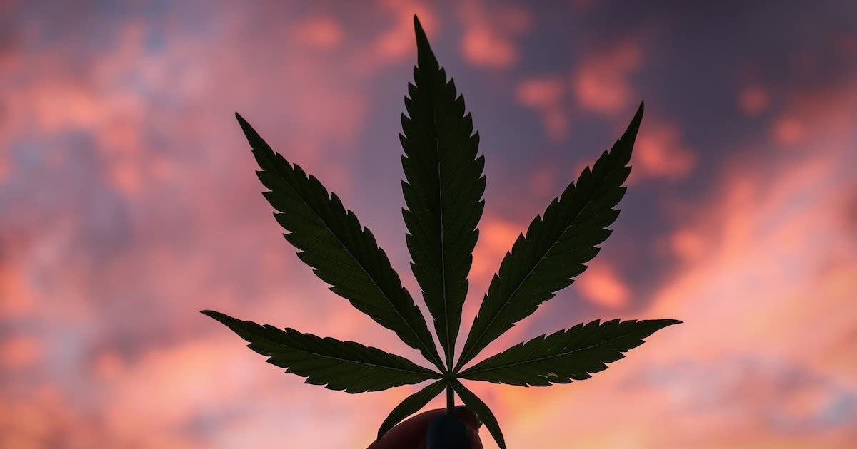 The Best 420 Deals & Sales in Chicago