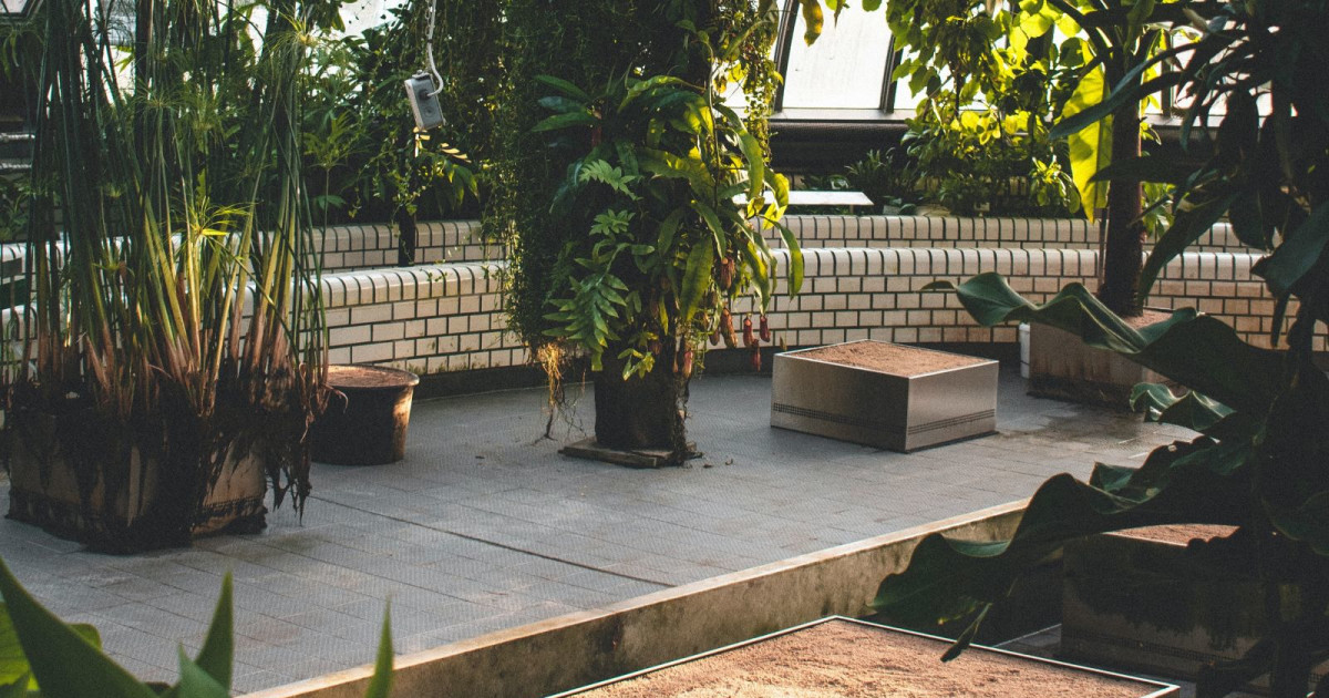 The Best Outdoor Patios for a Drink