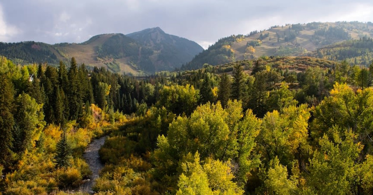 Where & When To See The Leaves Change In Colorado