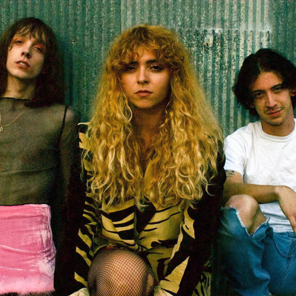 The Velveteers