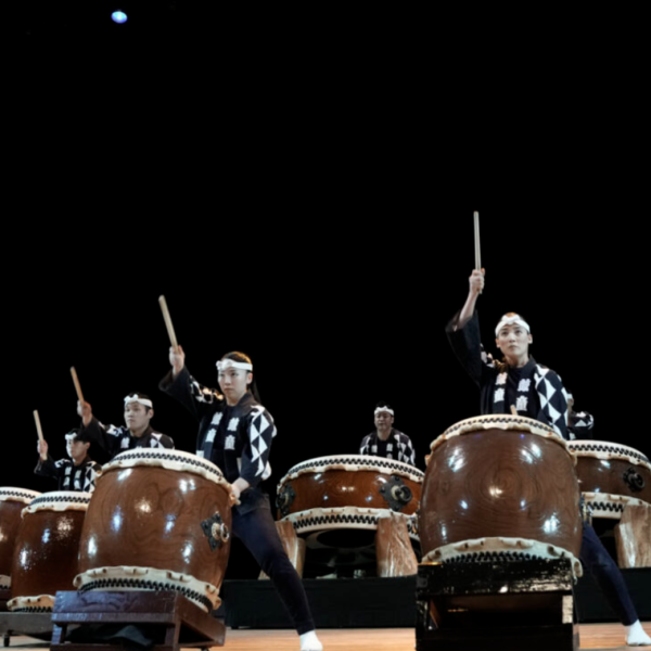 Kodo