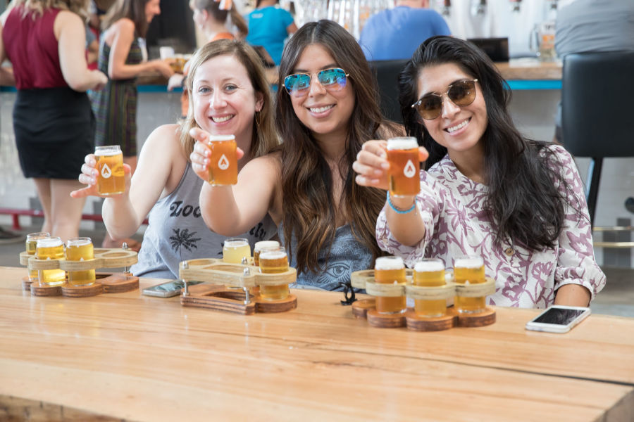 The Brew Bus