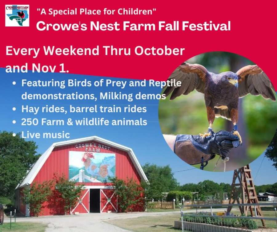 Fall Fest 2026