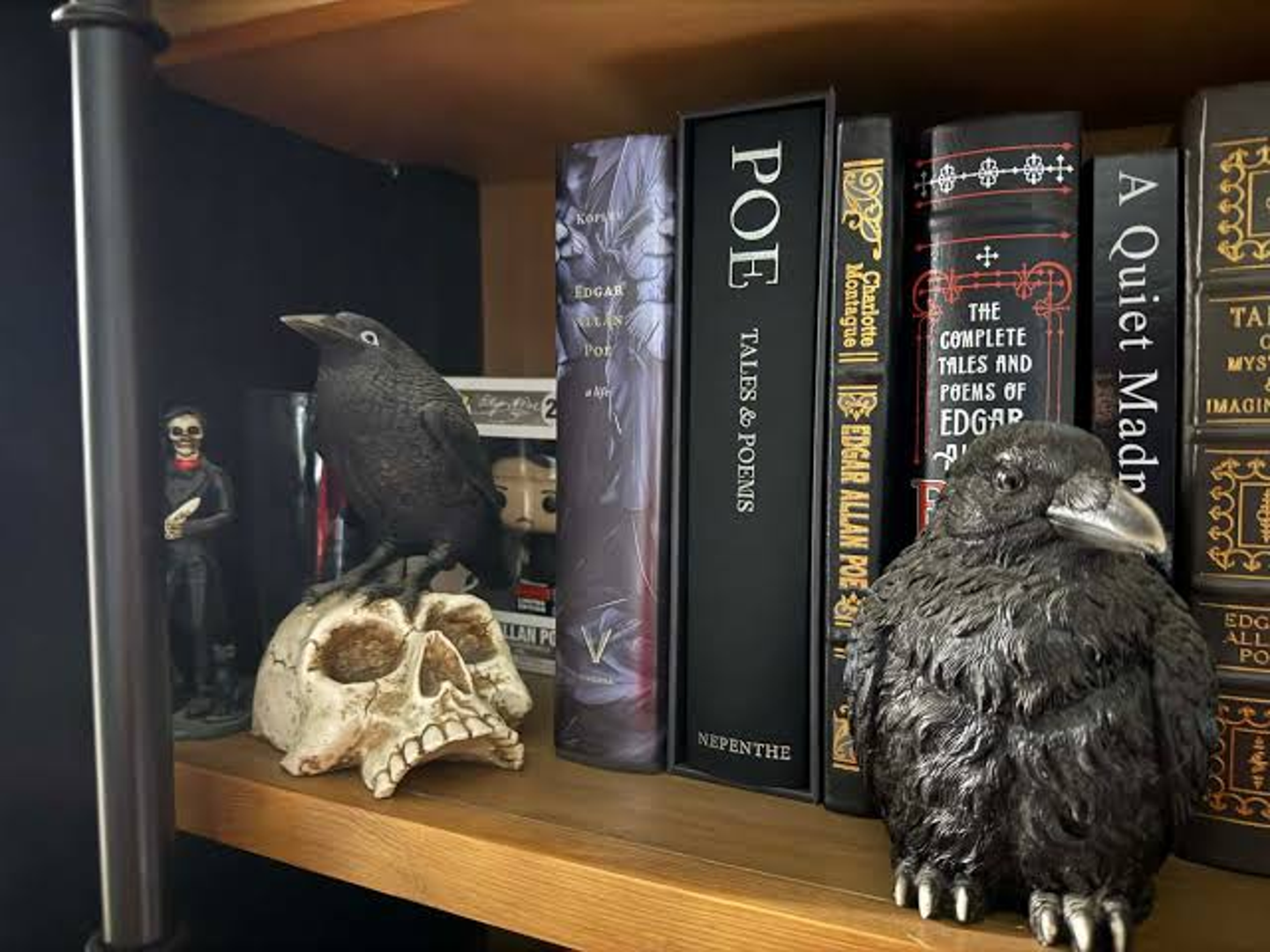 Unsettling Tales of Edgar Allan Poe