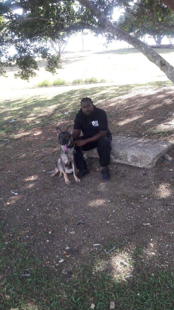 Big Dread Kennel gallery photo 2