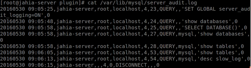 MariaDB Audit Log